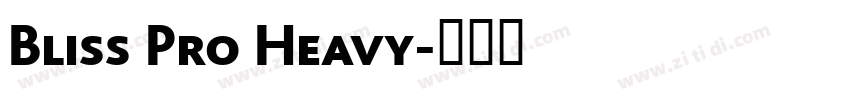 Bliss Pro Heavy字体转换